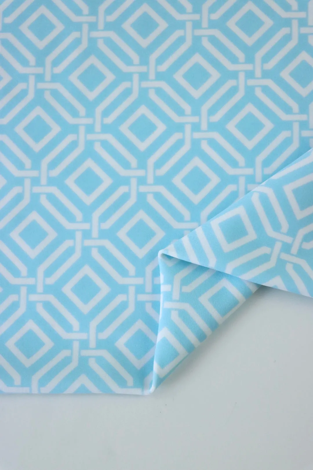 2YD PRECUT; Intertwined on Sky Blue Nylon Spandex Tricot | Designer Deadstock