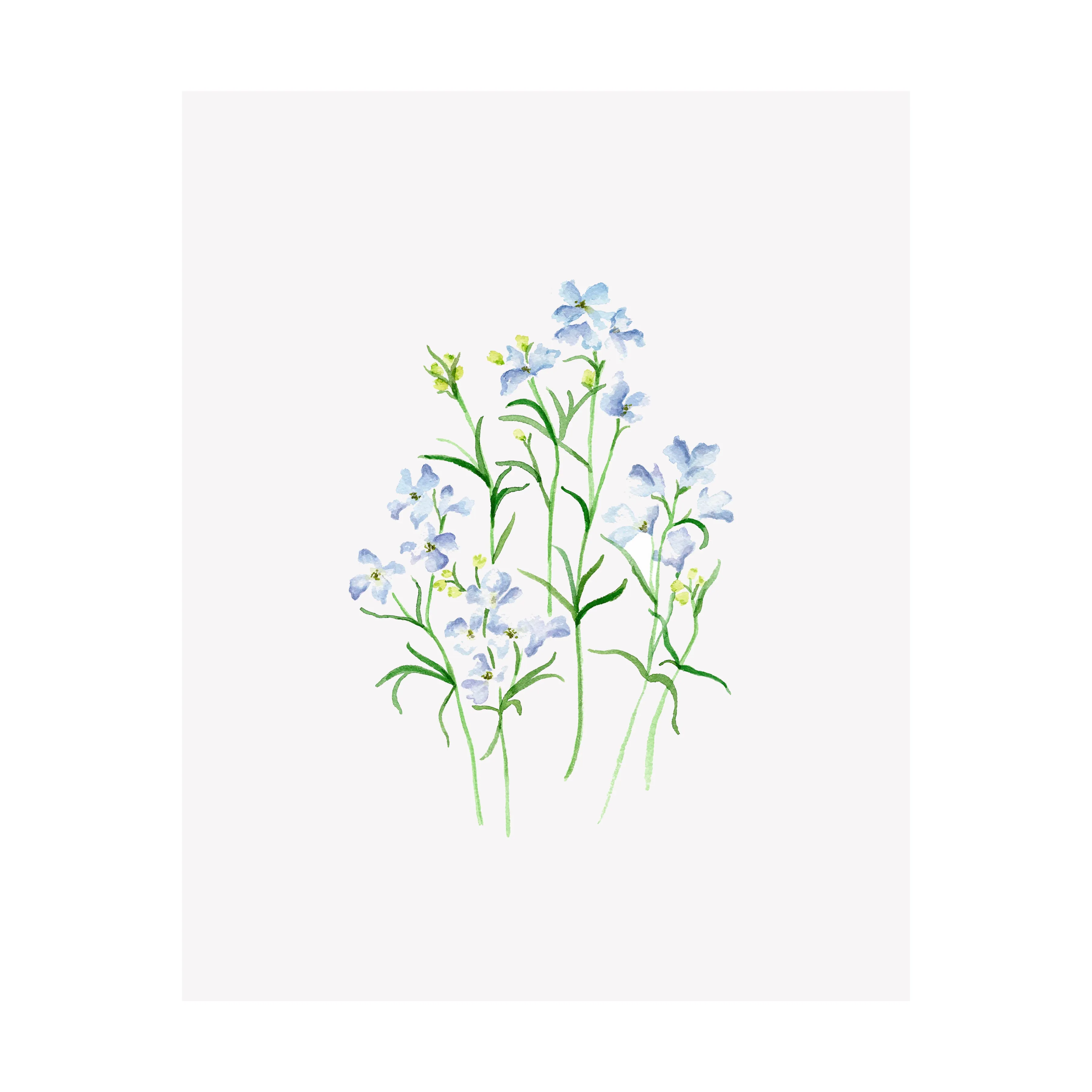 Floral Print- Larkspur