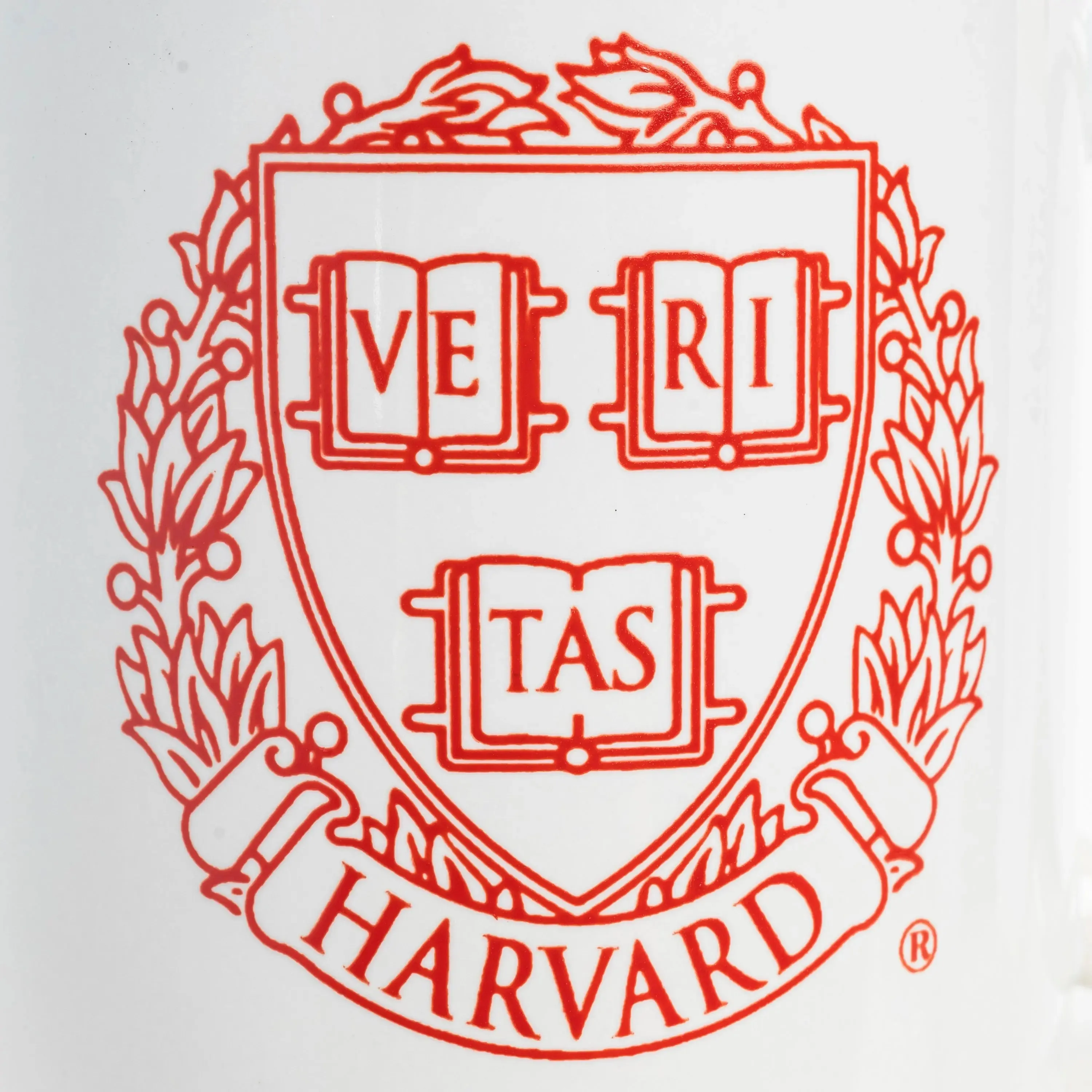 Harvard Crest Mug