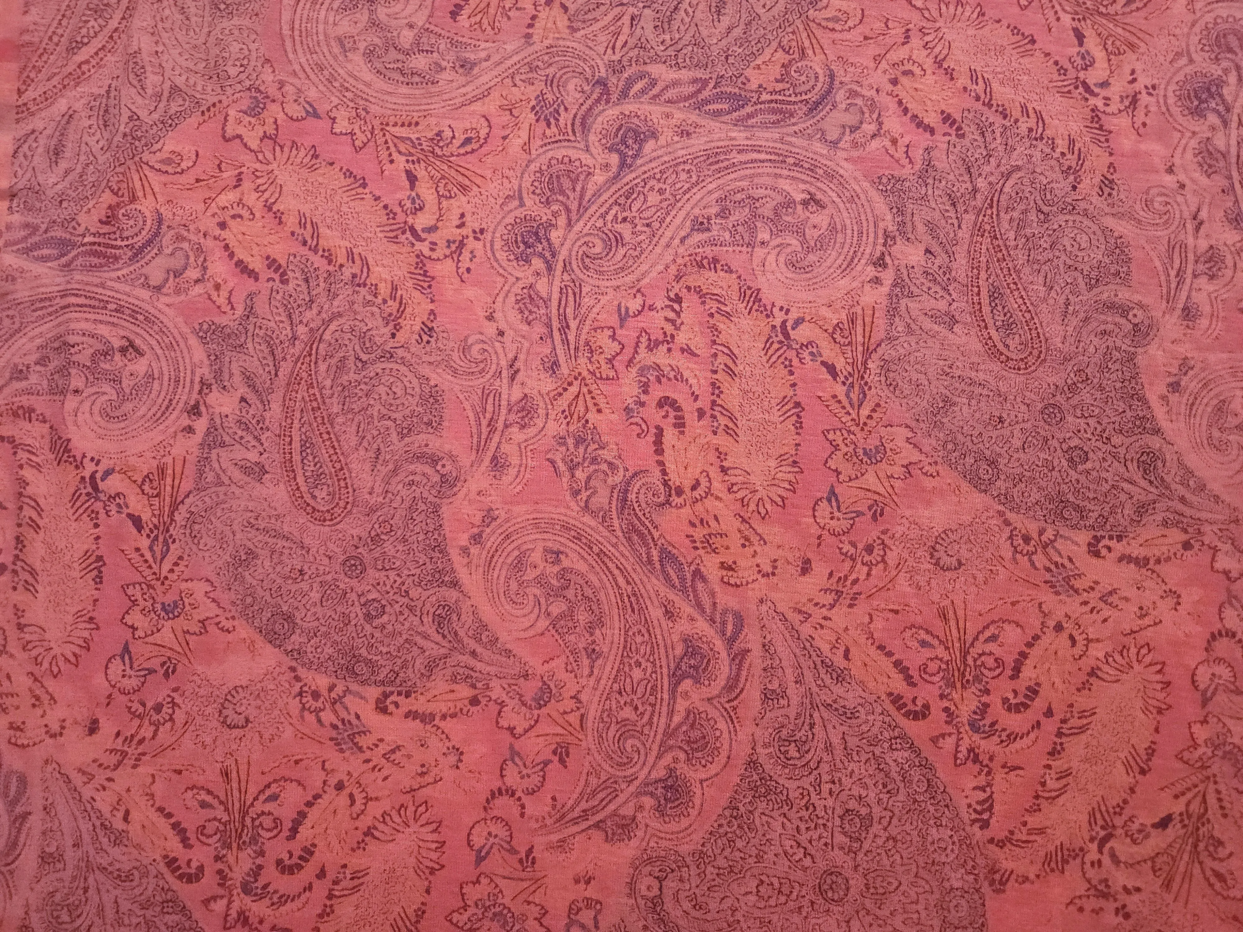 Jersey Knit / Pink Paisley