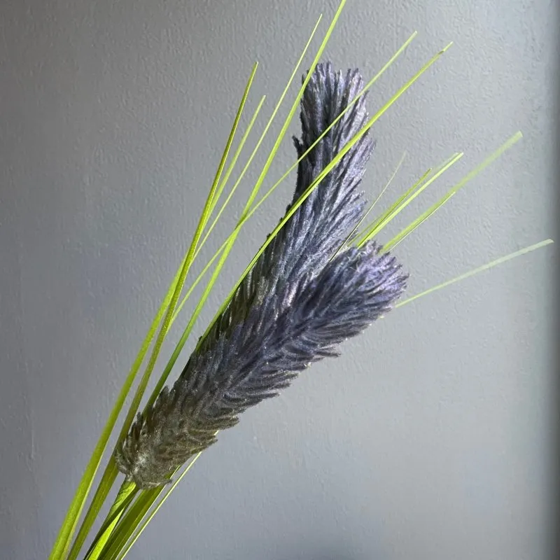 Thistle Grass (Blue)